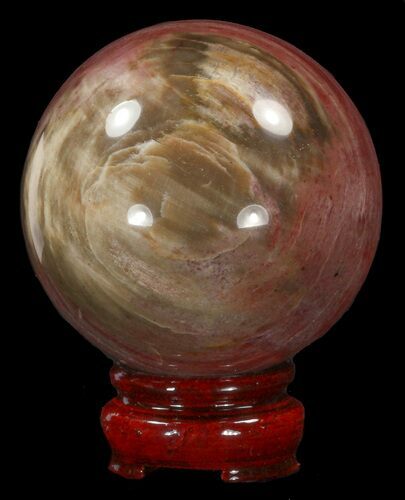 Colorful Petrified Wood Sphere #41945